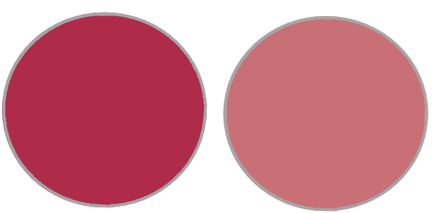 blog-palette-colori-rosa