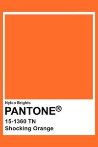 pantone shocking orange 1513-60