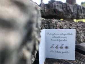 come piantare la carta piantabile nel modo corretto per farla germorgliare